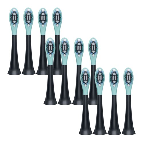 Oryginalna końcówka szczoteczki BEURER Premium Protect (12 sztuk) (Dokładna higiena jamy ustnej)