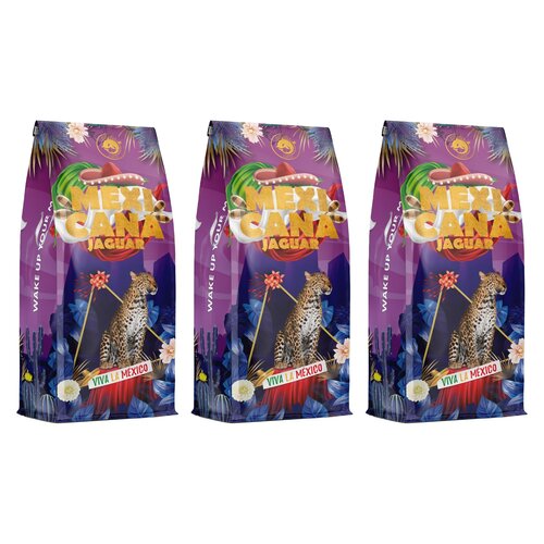 Kawa ziarnista BLUE ORCA COFFEE Mexicana Jaguar 3 x 1 kg