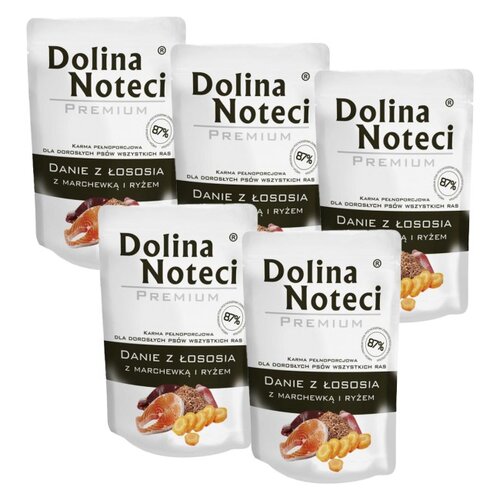 Karma dla psa DOLINA NOTECI Premium Danie z łososia z marchewką i ryżem 5 x 100 g