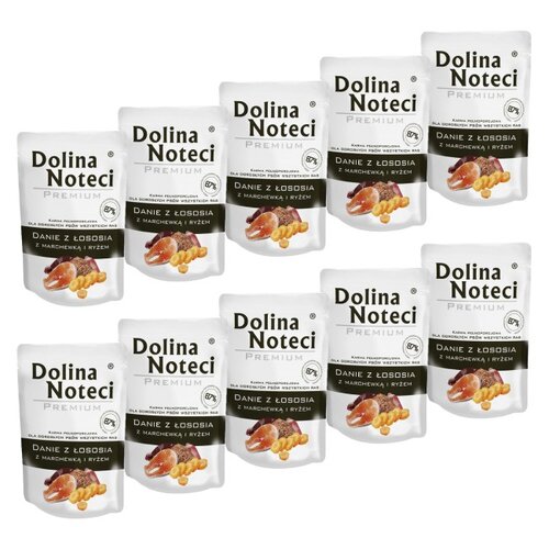 Karma dla psa DOLINA NOTECI Premium Danie z łososia z marchewką i ryżem 10 x 100 g