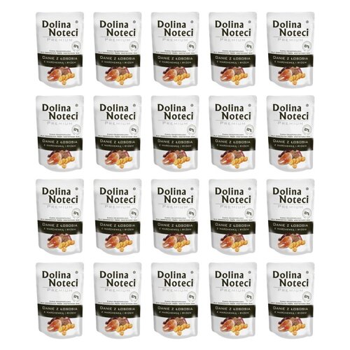 Karma dla psa DOLINA NOTECI Premium Danie z łososia z marchewką i ryżem 20 x 100 g
