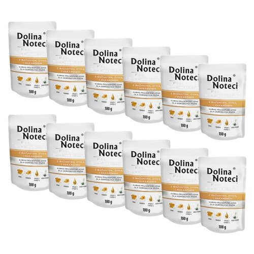 Karma dla psa DOLINA NOTECI Premium Bażant z dynią i makronem 12 x 100 g