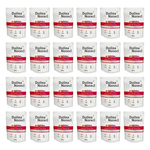 Karma dla psa DOLINA NOTECI Premium Junior Serca Wołowe 24 x 300 g