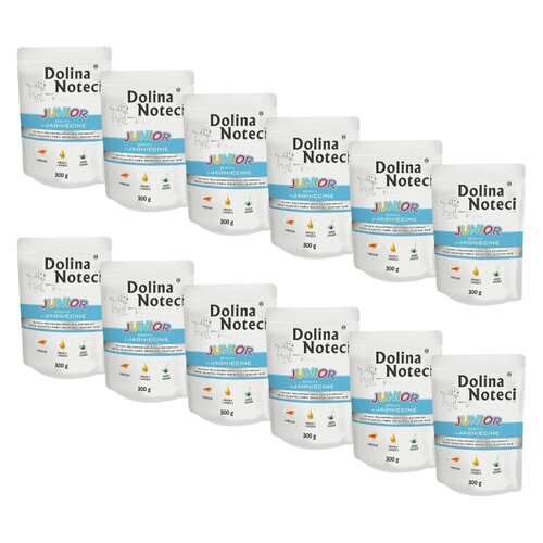Karma dla psa DOLINA NOTECI Premium Junior Jagnięcina 12 x 300 g