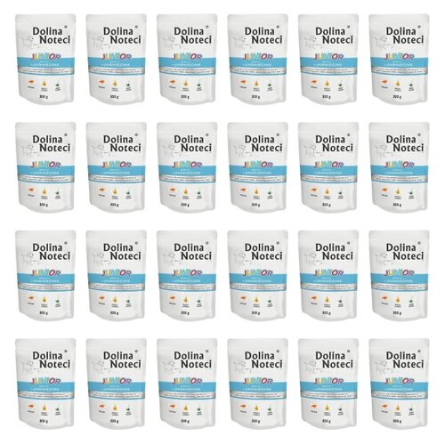 Karma dla psa DOLINA NOTECI Premium Junior Jagnięcina 24 x 300 g