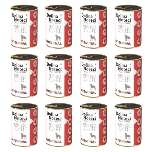 Karma dla psa DOLINA NOTECI Premium Perfect Care Intestinal z wieprzowiną 12 x 400 g