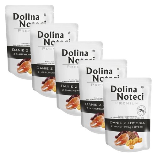 Karma dla psa DOLINA NOTECI Premium Łosoś z marchewką i ryżem 5 x 300 g