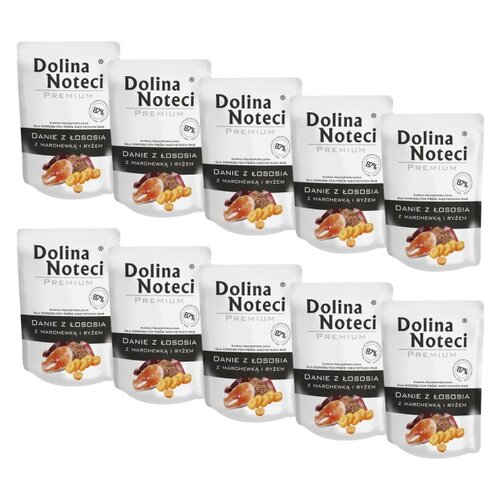 Karma dla psa DOLINA NOTECI Premium Danie z łososia z marchewką i ryżem 10 x 300 g