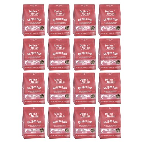 Karma dla psa suszona DOLINA NOTECI Superfood Danie z łososia 16 x 1 kg