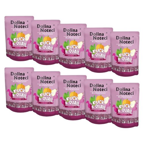 Karma dla psa DOLINA NOTECI Superfood z kaczką i przepiórką 10 x 300 g
