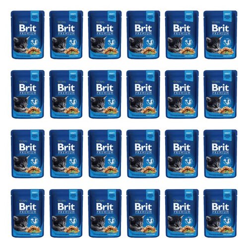 Karma dla kota BRIT Premium Kurczak 24 x 100 g