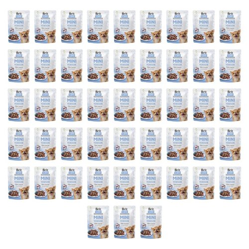 Karma dla psa BRIT Care Mini Dziczyzna 48 x 85 g