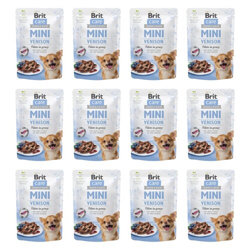 Karma dla psa BRIT Care Mini Dziczyzna 12 x 85 g