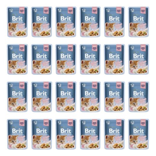 Karma dla kota BRIT Premium Kurczak 24 x 85 g
