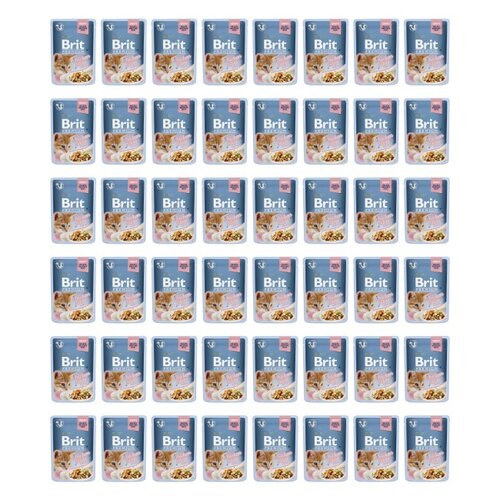 Karma dla kota BRIT Premium Kurczak 48 x 85 g