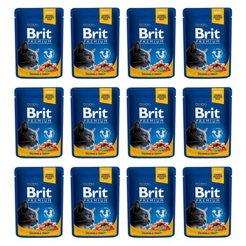 Karma dla kota BRIT Premium Łosoś z pstrągiem 12 x 100 g