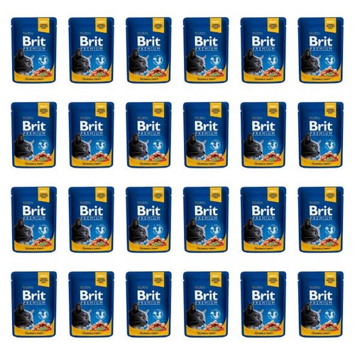 Karma dla kota BRIT Premium Łosoś z pstrągiem 24 x 100 g