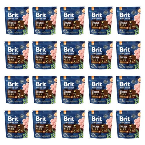 Karma dla psa BRIT Premium by Nature Senior Kurczak 20 x 1 kg