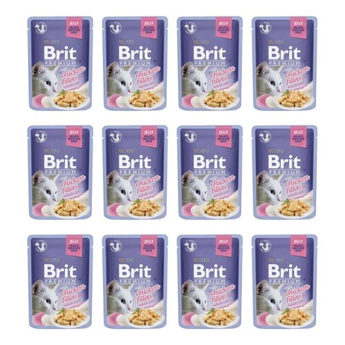 Karma dla kota BRIT Premium Kurczak 12 x 85 g