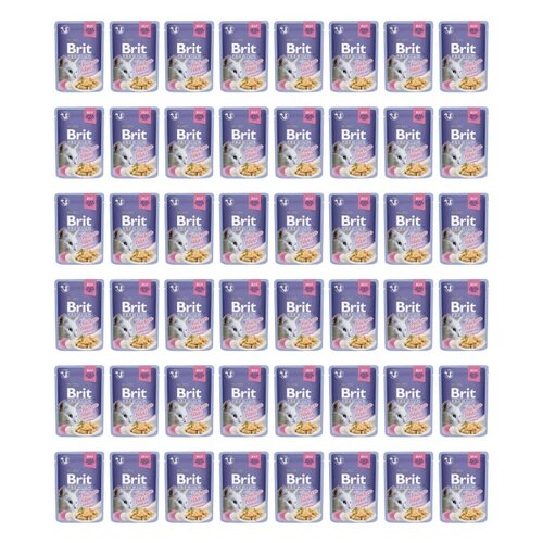 Karma dla kota BRIT Premium Kurczak 48 x 85 g