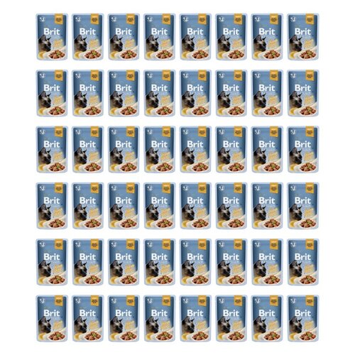 Karma dla kota BRIT Premium Tuńczyk 48 x 85 g