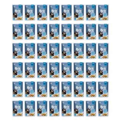 Karma dla kota BRIT Premium Kurczak 48 x 85 g