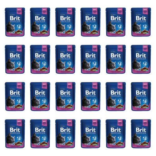 Karma dla kota BRIT Premium Kurczak z indykiem 24 x 100 g