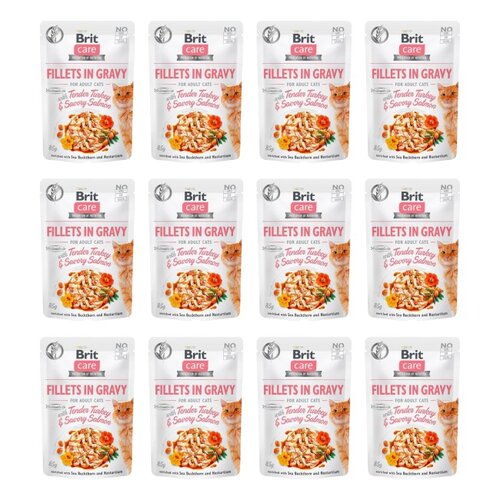 Karma dla kota BRIT Care Fillets In Gravy Indyk z łososiem 12 x 85 g