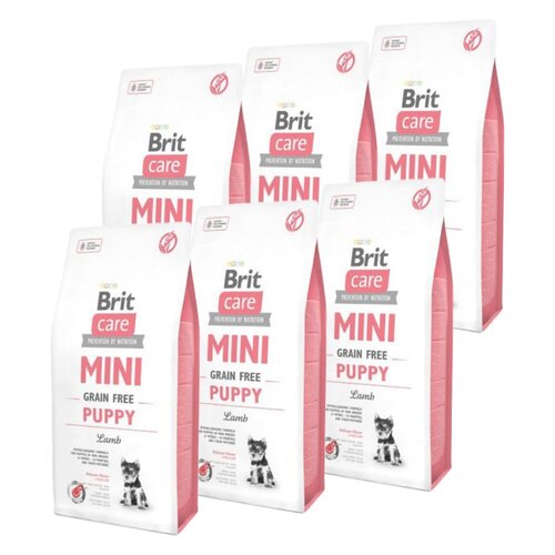 Karma dla psa BRIT Care Mini Junior Jagnięcina 6 x 2 kg