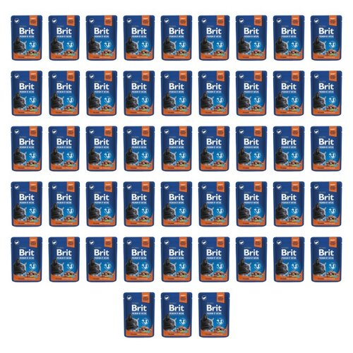 Karma dla kota BRIT Premium By Nature Sterilised Łosoś 48 x 100 g