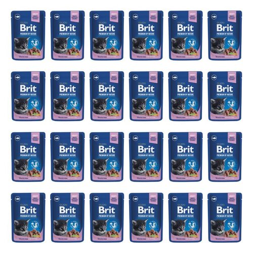 Karma dla kota BRIT Premium By Nature Junior Biała ryba 24 x 100 g