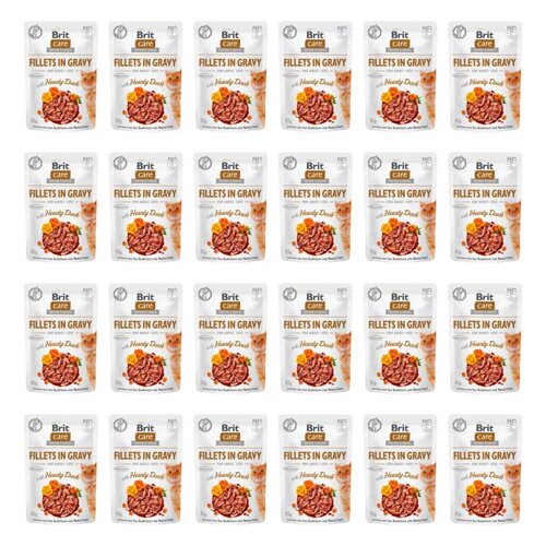 Karma dla kota BRIT Care Fillets In Gravy Serca kaczki 24 x 85 g