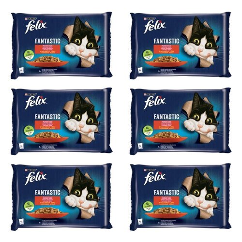 Karma dla kota FELIX Fantastic Kurczak z wołowiną (24 x 85 g)