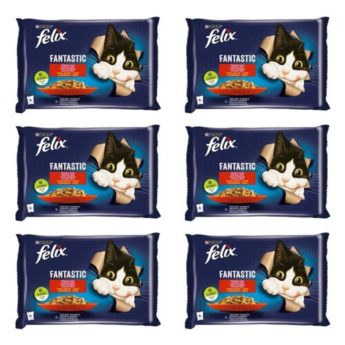 Karma dla kota FELIX Fantastic Wiejskie smaki Królik i Jagnięcina (24 x 85 g)