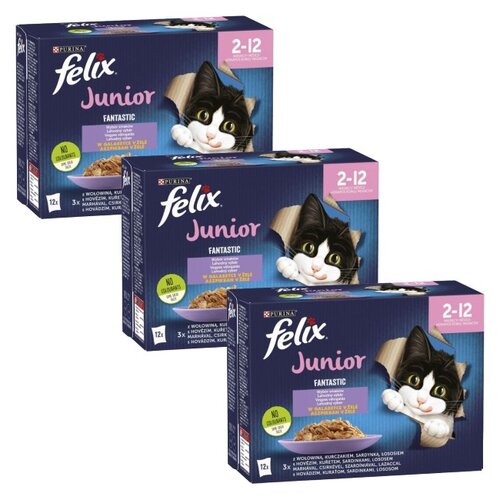 Karma dla kota FELIX Fantastic Junior Mix Smaków w galaretce (36 x 85 g)