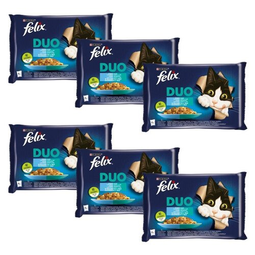 Karma dla kota FELIX Fantastic Duo Rybne Smaki w galaretce (24 x 85 g)
