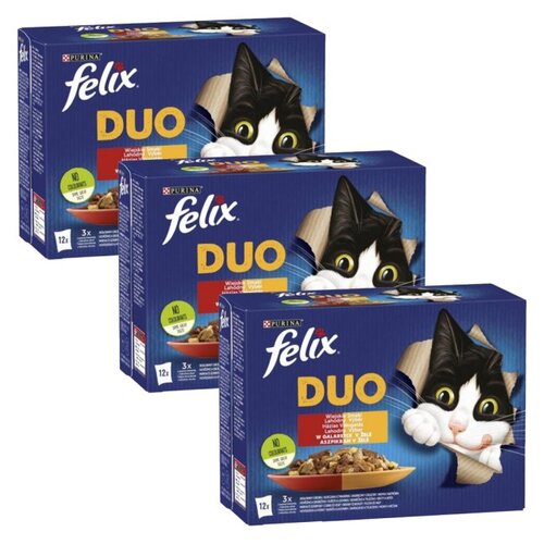 Karma dla kota FELIX Fantastic Duo Wiejskie Smaki w galaretce (36 x 85 g)