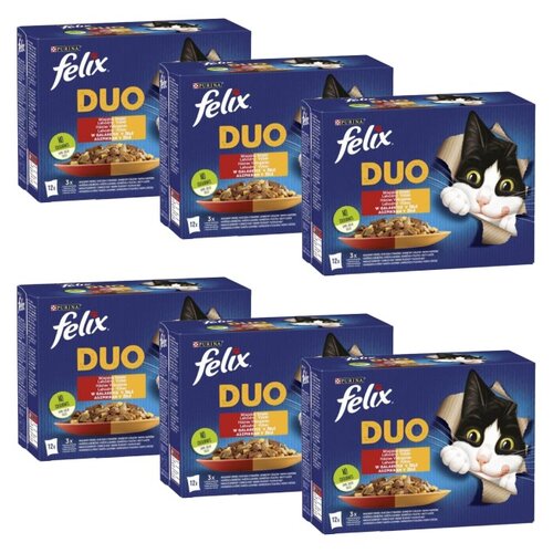 Karma dla kota FELIX Fantastic Duo Wiejskie Smaki w galaretce (72 x 85 g)