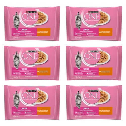 Karma dla kota PURINA ONE Junior Kurczak (24 x 85 g)