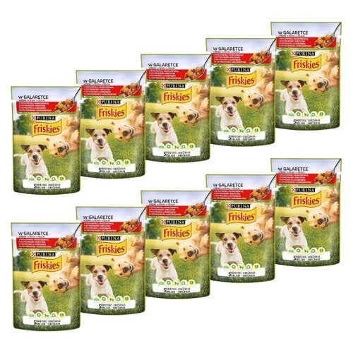 Karma dla psa FRISKIES Adult Wołowina z marchewką 10 x 100 g