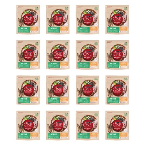 Karma dla psa PURINA One Mini Active Adult Kurczak z ryżem 16 x 800 g