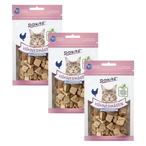 Przysmak dla kota DOKAS Żołądki drobiowe 3 x 12 g