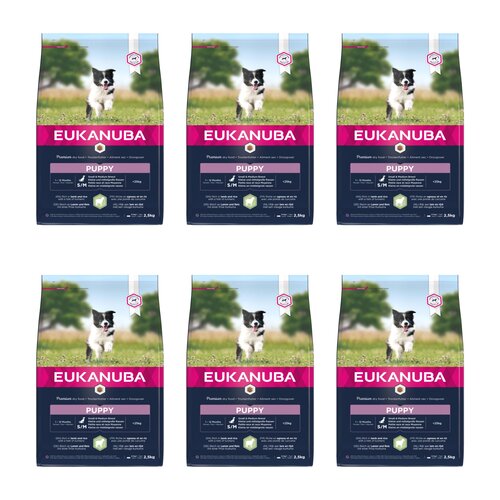 Karma dla psa EUKANUBA Puppy Small & Medium Breeds Jagnięcina z ryżem 6 x 2.5 kg
