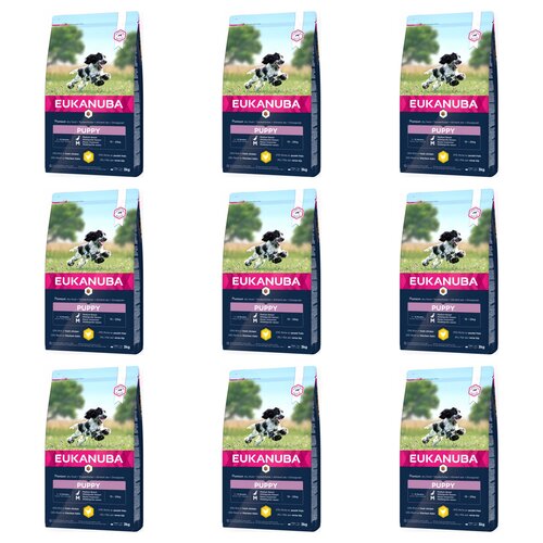 Karma dla psa EUKANUBA Puppy Medium Breeds Kurczak 9 x 3 kg