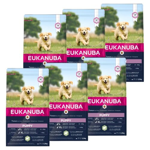 Karma dla psa EUKANUBA Puppy Large Breeds Jagnięcina z ryżem 6 x 2.5 kg
