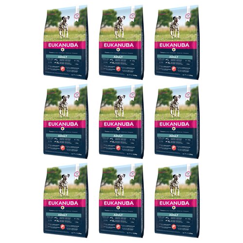 Karma dla psa EUKANUBA Adult Large Breeds Adult Łosoś z jęczmieniem 9 x 2.5 kg