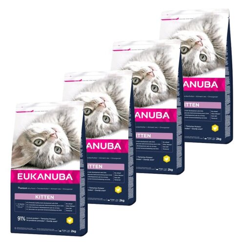 Karma dla kota EUKANUBA Kitten Kurczak 4 x 2 kg