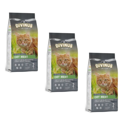 Karma dla kota DIVINUS Cat Meat Mięsny 3 x 2 kg