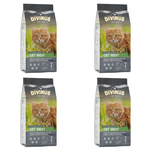 Karma dla kota DIVINUS Cat Meat Mięsny 4 x 2 kg