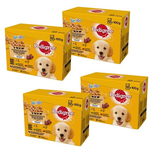 Karma dla psa PEDIGREE Vital Protection Junior w Galaretce (48 x 100 g)